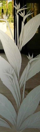 Door Glass Insert featuring a Frosted Glass Tropical Design Sandblast Etched Glass Bird of Paradise Design by Sans Soucie