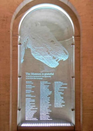 Partition showcasing a Frosted Glass Wildlife Design with Sandblast Etched Glass Art by Sans Soucie Natural History Museum LA - T Rex Design