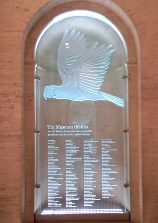Partition showcasing a Frosted Glass Wildlife Design with Sandblast Etched Glass Art by Sans Soucie Natural History Museum LA Parrot Design