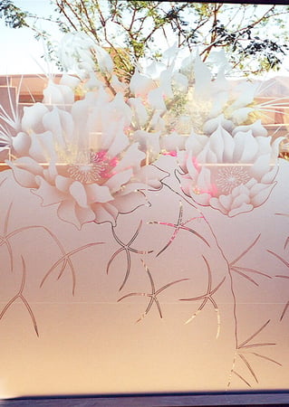 Window showcasing a Frosted Glass Desert Design with Sandblast Etched Glass Art by Sans Soucie Blooming Barrel Cactus Design