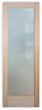 Front Door featuring Frosted Glass Design Etched Glass by Sans Soucie Art Glass with Custom Geometric Design Plain Solid Frosted Glass (no art)