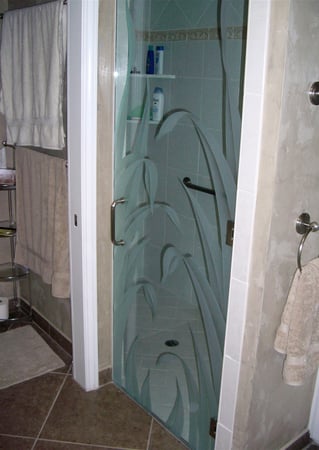 Shower Door featuring Frosted Glass Design Etched Glass by Sans Soucie Art Glass with Custom Foliage Design Reeds
