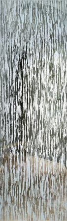 Door Glass Insert with a Frosted Glass Tree Bark Patterns Design for Semi-Private by Sans Soucie Art Glass