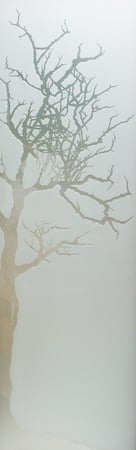 Door Glass Insert featuring a Frosted Glass Trees Design Sandblast Etched Glass Winter Tree Design by Sans Soucie