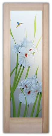 Bathroom Door featuring a Frosted Glass Floral Design Sandblast Etched Glass Iris Hummingbird II Design by Sans Soucie