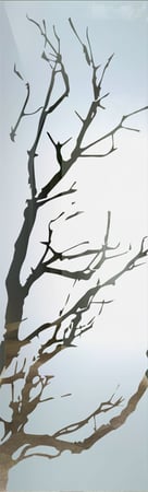 Interior Glass Insert with sandblast Frosted Glass Design Art Glass Featuring Sandblast Etched Glass by Sans Soucie