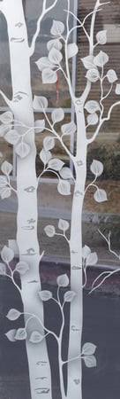 Shower Door featuring a Frosted Glass Trees Design Sandblast Etched Glass Birch Design by Sans Soucie