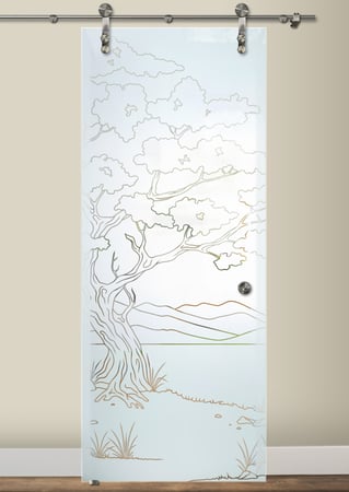 Glass Barn Door with sandblast Frosted Glass Design Art Glass Featuring Sandblast Etched Glass by Sans Soucie