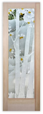 Pantry Door featuring a Frosted Glass Trees Design Sandblast Etched Glass Birch in the Rockies Design by Sans Soucie