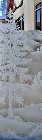 Door Glass Insert with a Frosted Glass Oregon Clear Skies II Trees Design for Semi-Private by Sans Soucie Art Glass