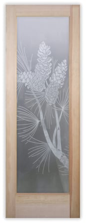 Pantry Door with sandblast Frosted Glass Design Art Glass Featuring Sandblast Etched Glass by Sans Soucie