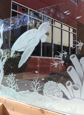 Partition with Frosted Glass Oceanic Aquarium Sea Turtle Design by Sans Soucie