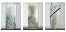 Best Sliding Barn Door Glass Styles for Modern Homes