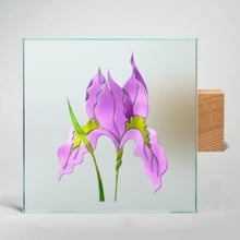 What is Frosted Glass - Sans Soucie Art Glass
