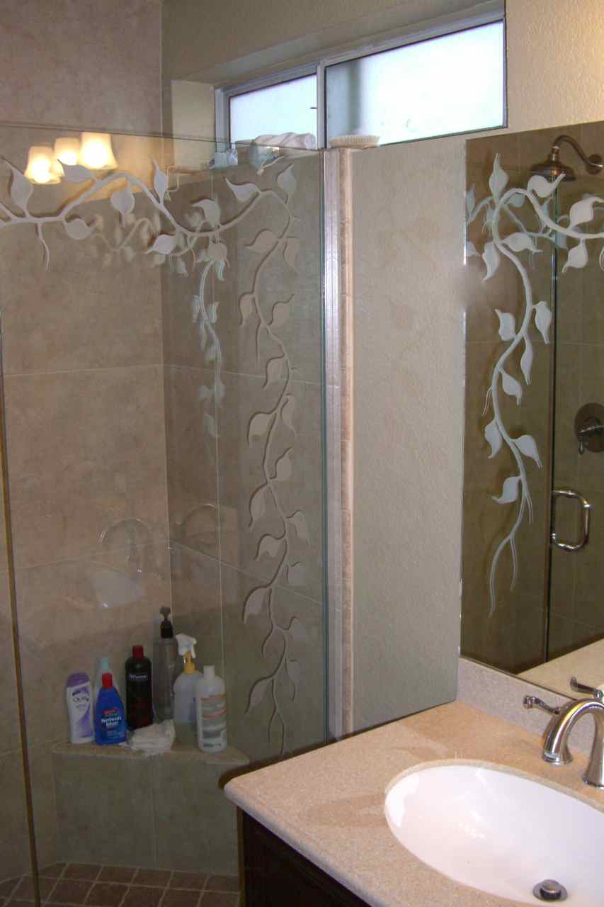 Coordinated Etched Glass Shower Bathroom Mirror Sans Soucie