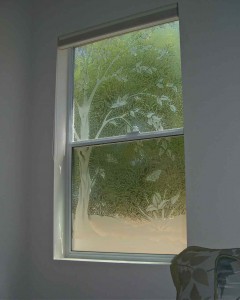 Delicate Sapling Tree Window