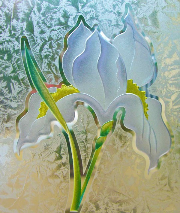 frosted glass design iris flower