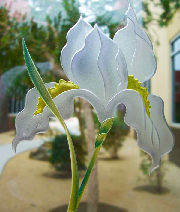 frosted glass iris painted