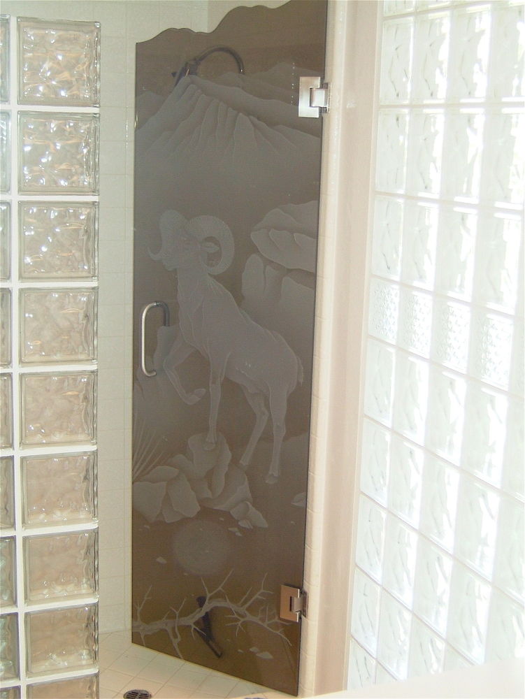 Combination of clear and frosted glass shower door with privacy