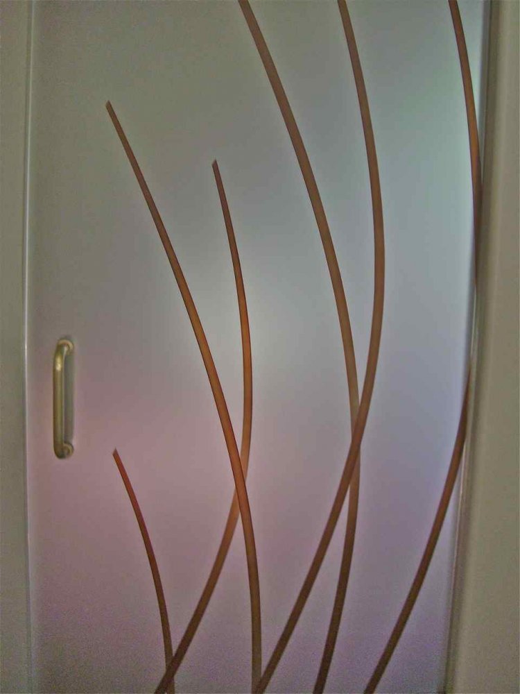 glass front entry doors bamboo glass front entry doors bamboo