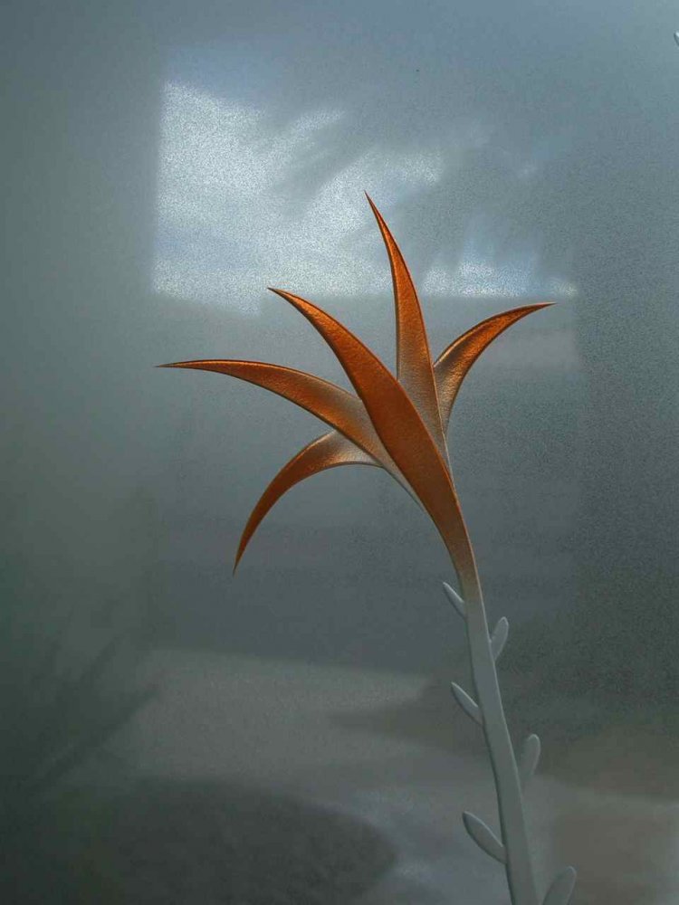 pantry doors glass sans soucie