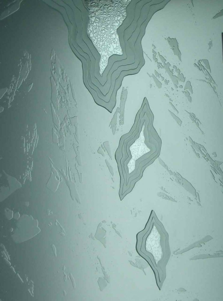 etched glass entry doors bamboo etched glass entry doors bamboo