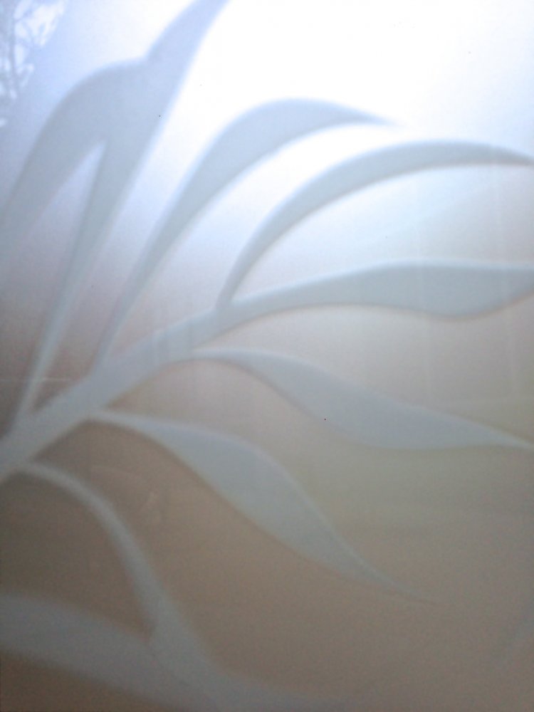 Aquarium Fish Private Sans Soucie etched glass doors fish tropical bathroom
