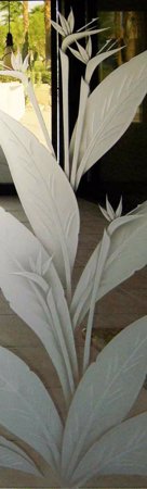 Door Glass Insert featuring a Frosted Glass Tropical Design Sandblast Etched Glass Bird of Paradise Design by Sans Soucie