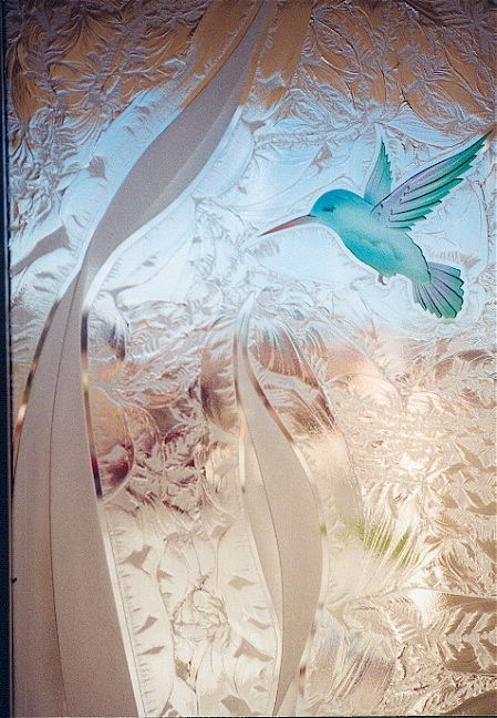 Hummingbird Curiosity