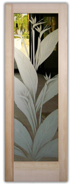 Handmade Sandblasted Frosted Glass Front Door for Semi-Private Featuring a Tropical Design Bird of Paradise by Sans Soucie
