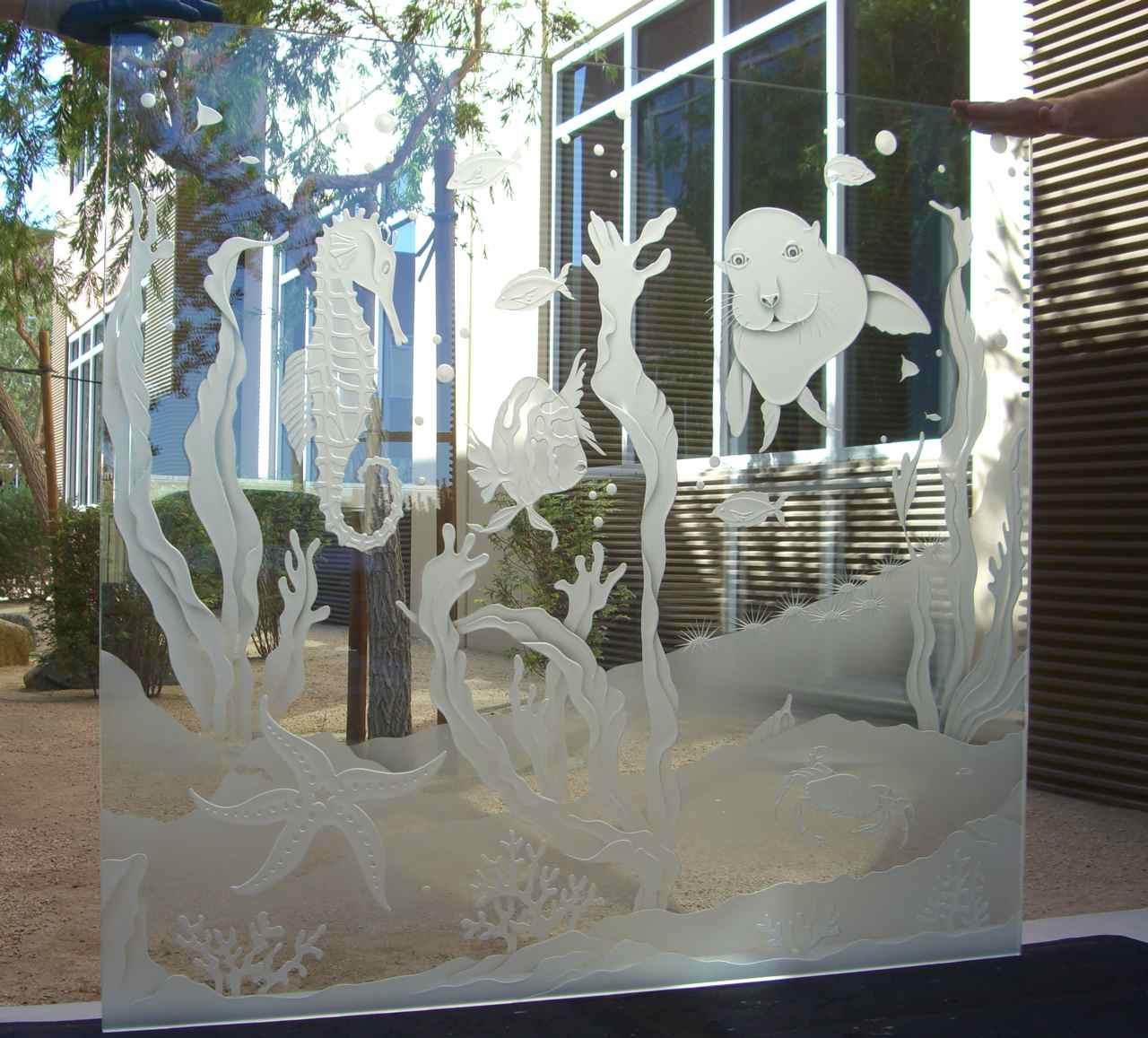 glass partitions frosted glass seahorse