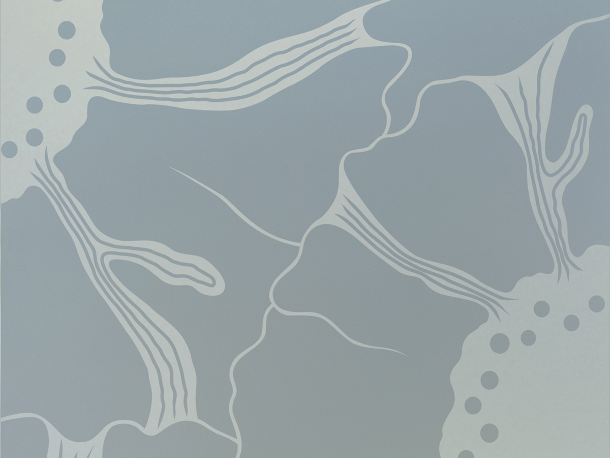blog header multiple effects privcy price