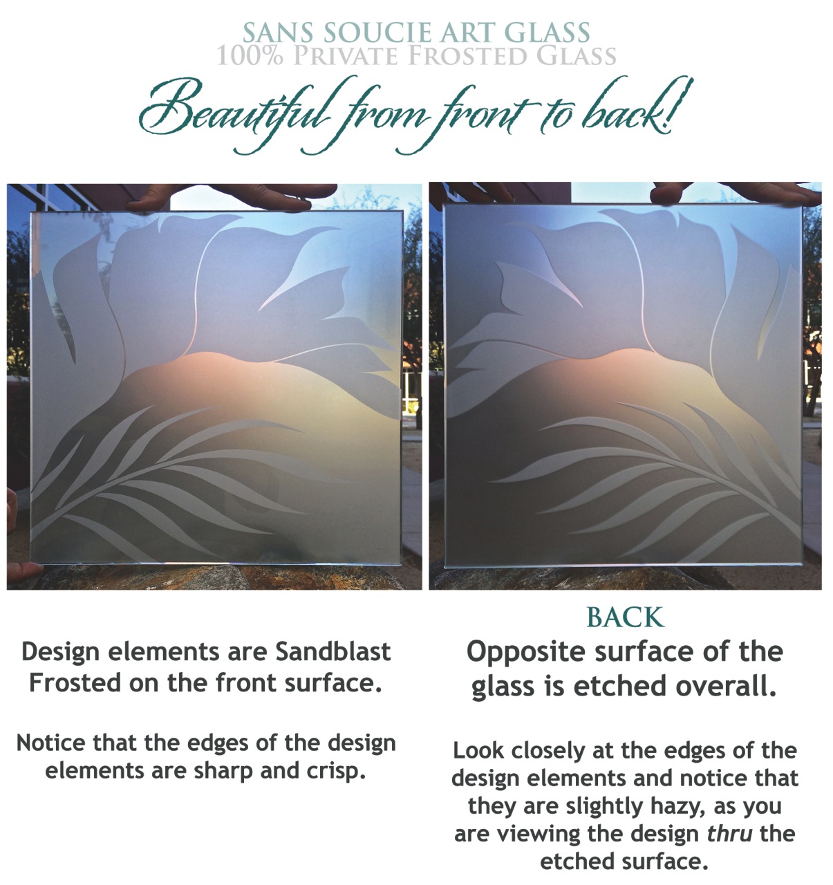 glass doors etched frosted tropical