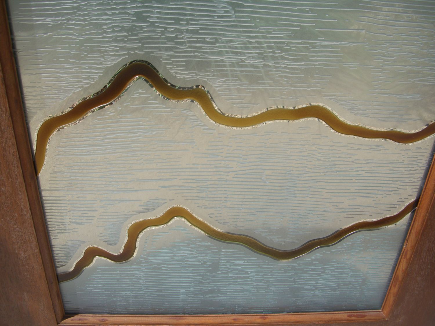 glass doors frosted palm etched door