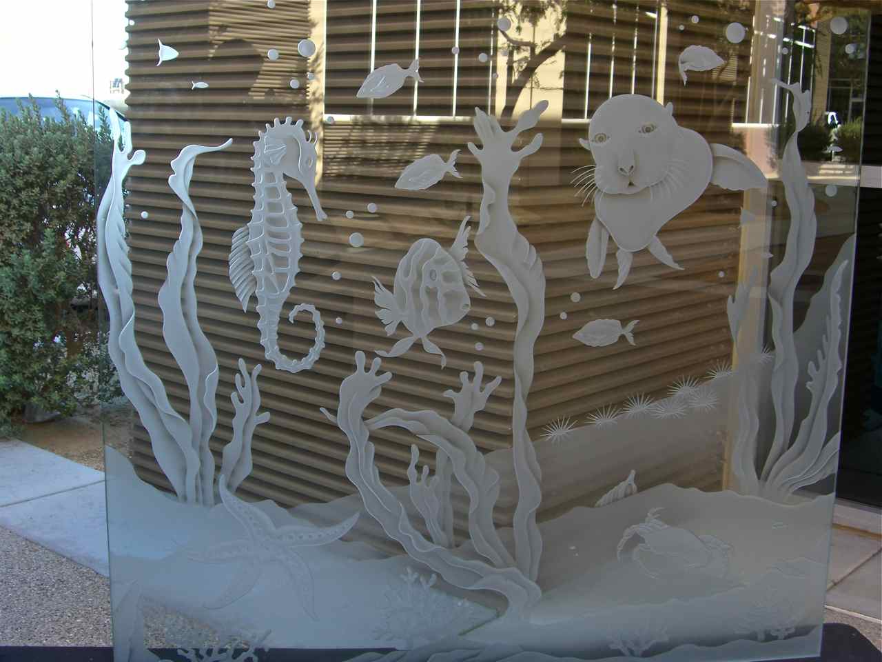 glass partitions sea horse