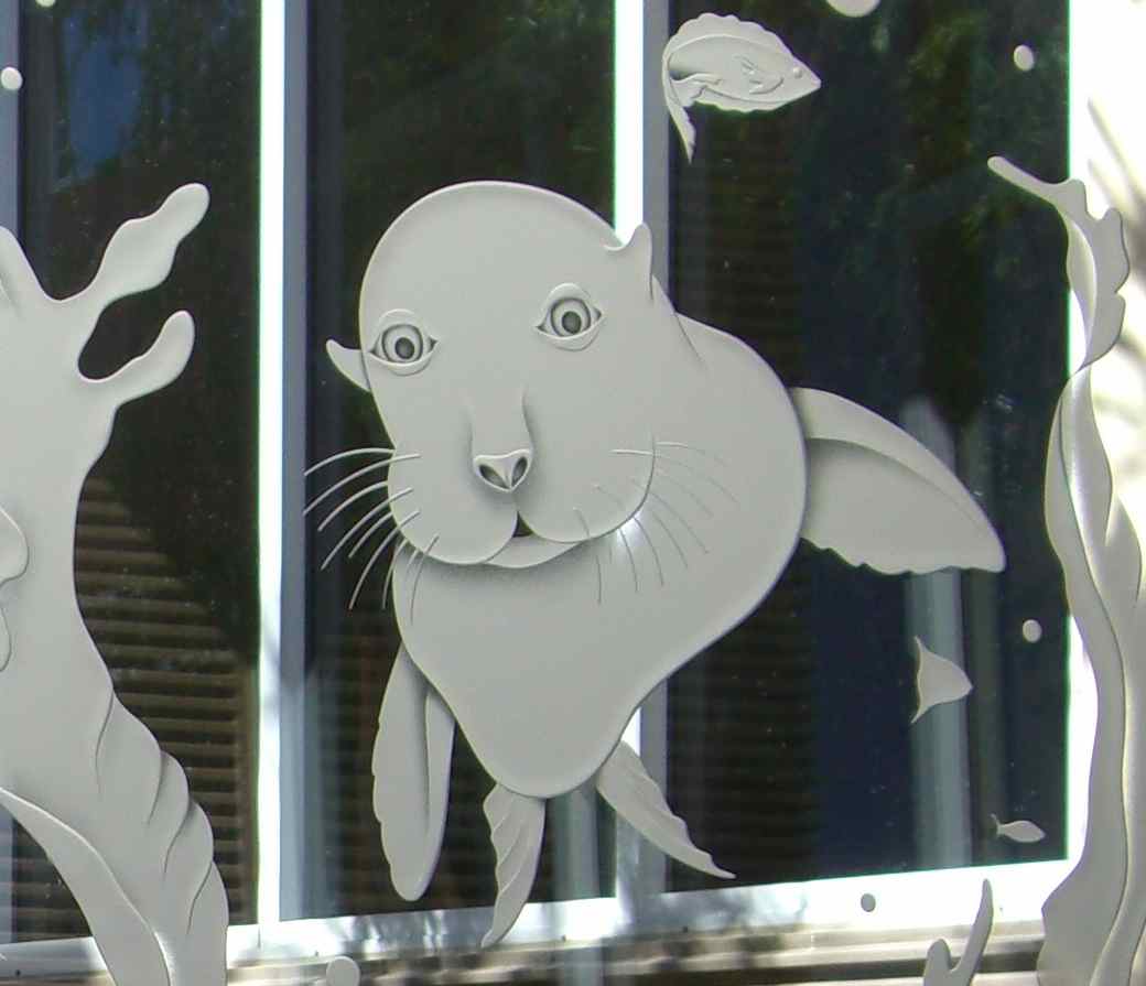 glass partitions etched glass sea lion