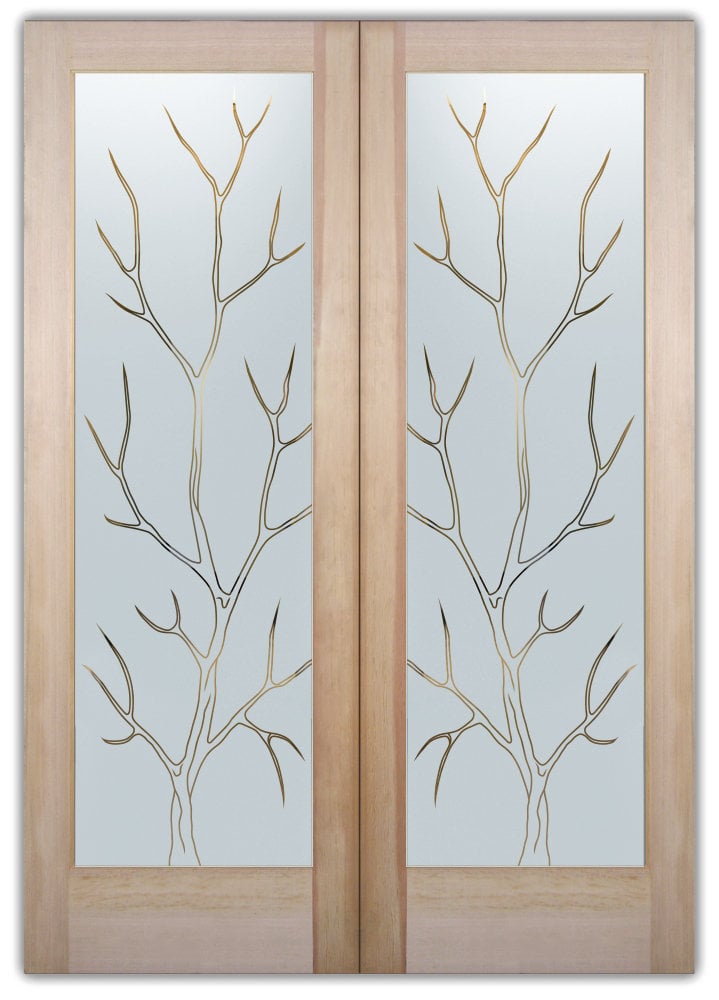 Double Entry Glass Doors 
