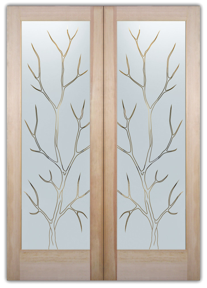 Double Entry Glass Doors 