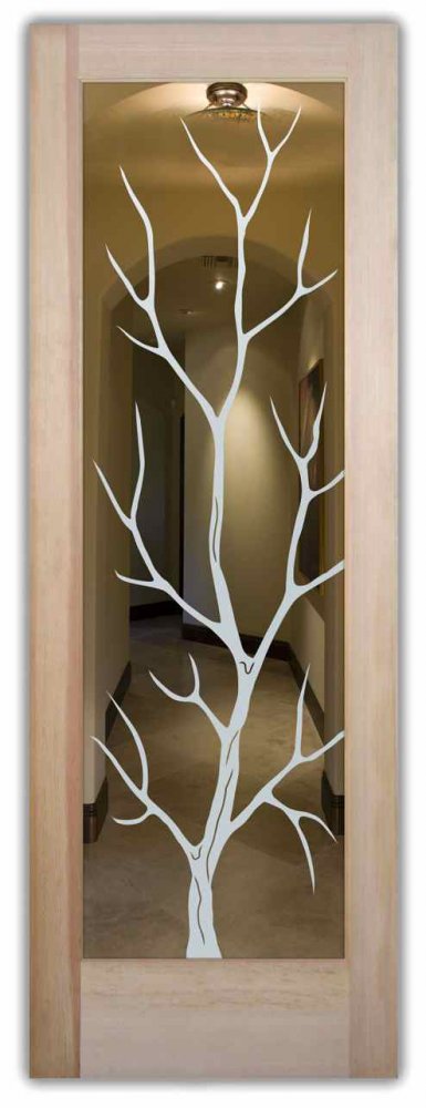 glass front doors etched branches