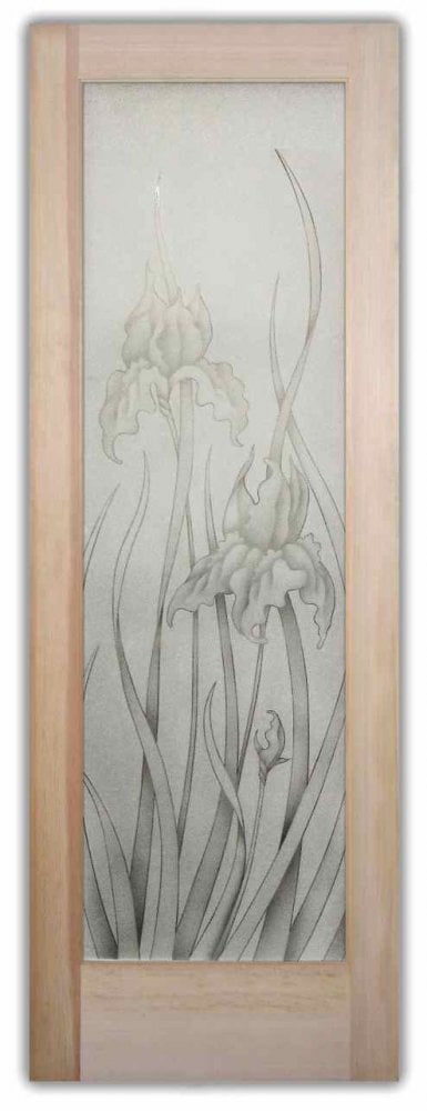 glass front doors frosted glass iris