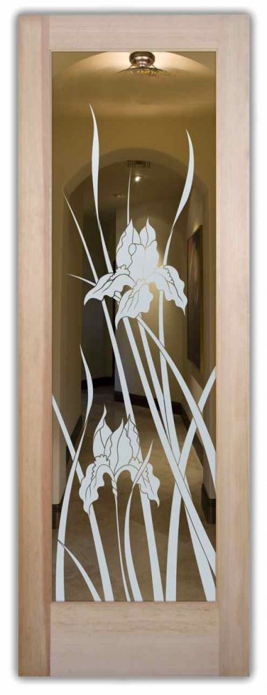 glass front doors etched iris positive