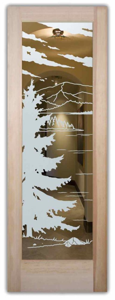 glass entry doors positive etched glass frosted glass