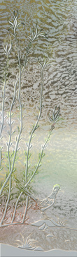 Ocotillo Roadrunner