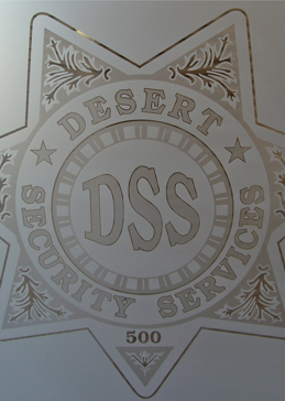 DSS (similar look)