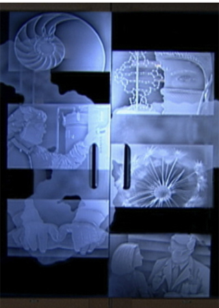 Door Glass Insert with Frosted Glass Logos Johnson & Johnson (similar look) Design by Sans Soucie