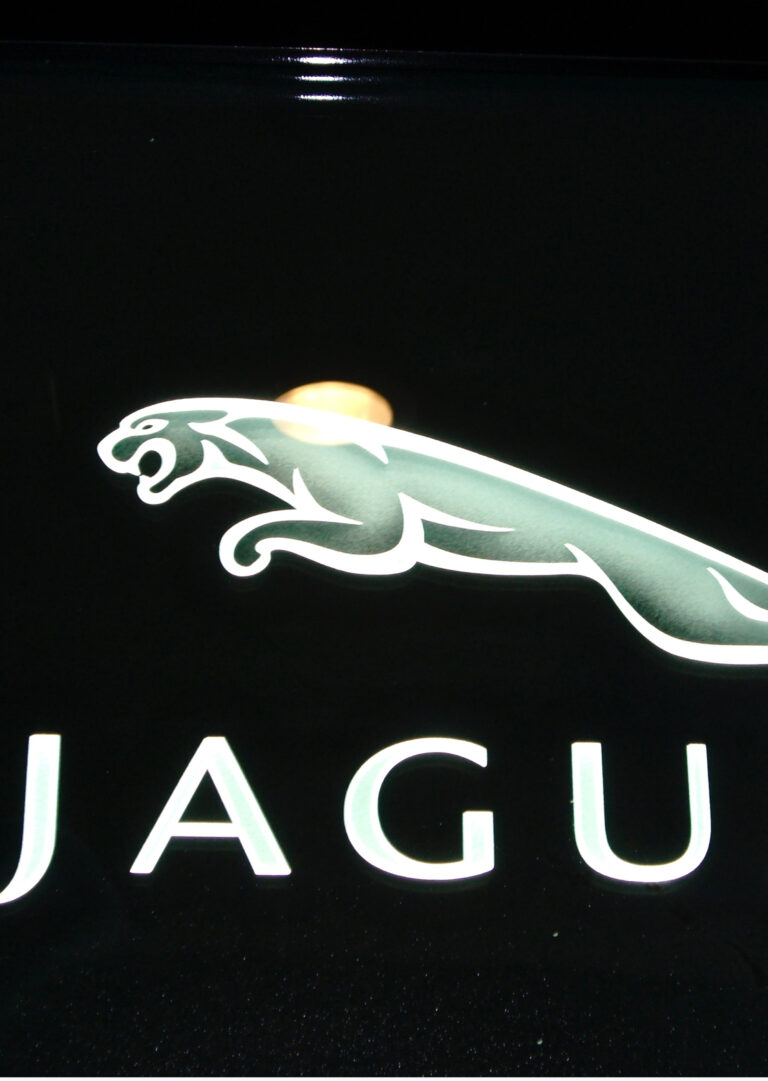 Jaguar (similar look)