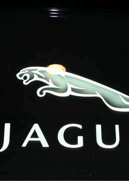 Handmade Sandblasted Frosted Glass Glass Sign for Semi-Private Featuring a Logos Design Jaguar (similar look) by Sans Soucie