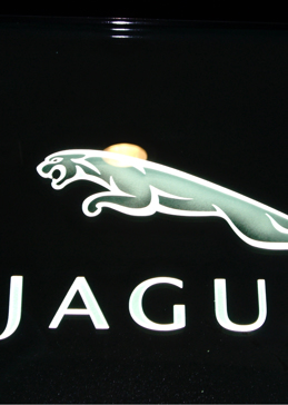 Jaguar (similar look)