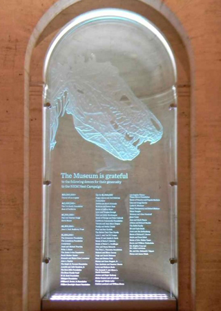 Glass Sign showcasing a Frosted Glass Wildlife Design with Sandblast Etched Glass Art by Sans Soucie Natural History Museum LA - T Rex Design