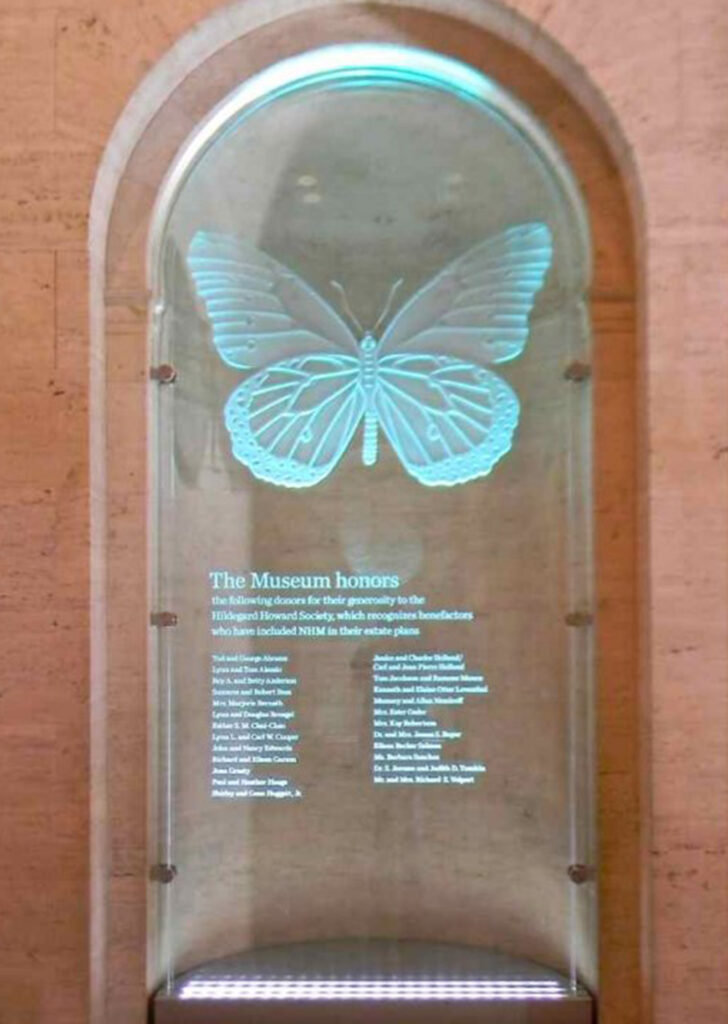 Etched and illuminated glass plaque with butterfly design and donor recognition text, showcasing soft blue edge lighting and detailed carving